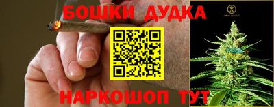 индика Пугачёв