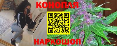 индика Пугачёв