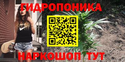 ALPHA PVP Пушкино